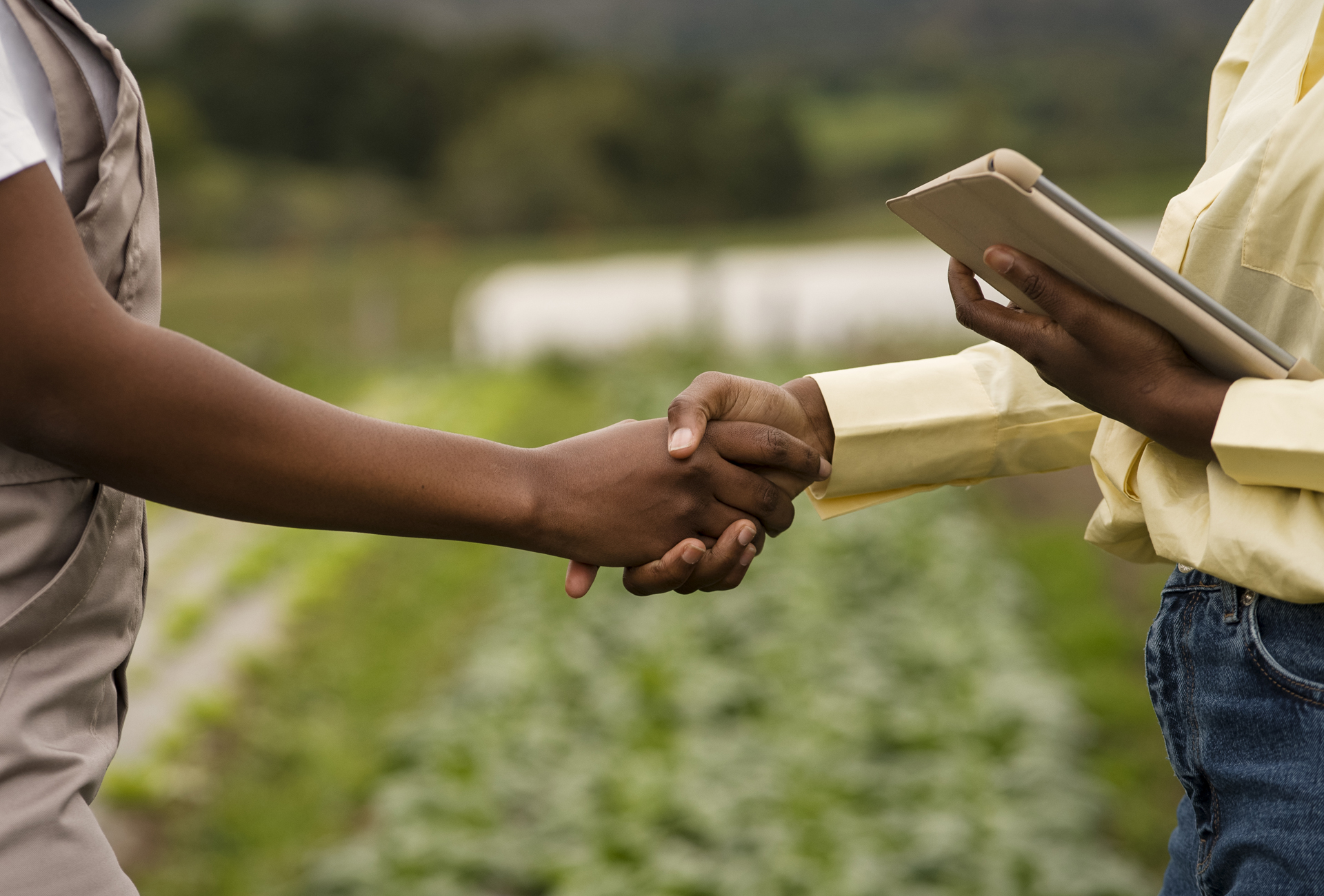 Chesir Honey Fields Farm Operations